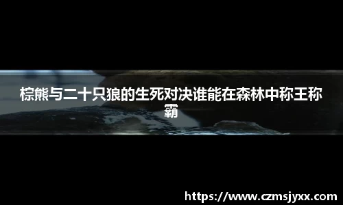 BB贝博艾佛森