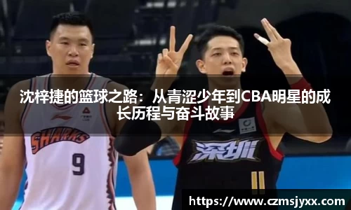 BB贝博登录入口